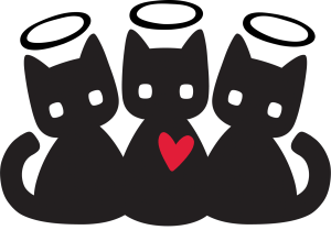 3 black cat angels